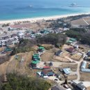 삼포주택 이미지