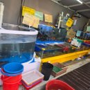 해신수산 이미지