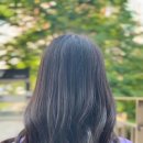 샘디자인 이미지