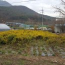 오장열농장 이미지