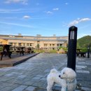 하이원펫클럽 이미지