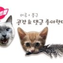 서정동물약품