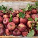 화이트이치과의원 | 분이라면, 치아 건강 관리가 고민될 때 자연스럽게 떠오르는 곳이 있습니다. 바로 화이트이치과의원인데요