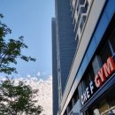 원에프짐 이미지