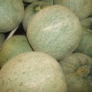 과일백화점 이미지