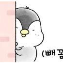 꽁꽁삼겹살차돌박이