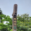 동해농협본점 이미지