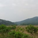 낙동강변26 이미지