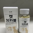 바이루미 | 양치를 싫어하는 고양이를 위해 구매한 닥터바이 치카볼 내돈내산 후기 ⭐