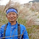 제주 올라 이미지