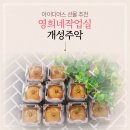 영희네작업실 이미지