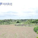 제주 한림읍 라온CC 인근 2차선 도로접한 토지(신건) - 제주 부동산 경매 이미지