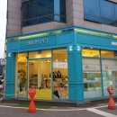 광주 고양이분양 브로스펫 이미지