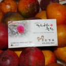애플망고 거니혀니