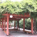 분당-218 이미지