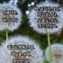 3월 2일 수요일 ㅡ어제는 삼월의 ㅡ첫날이자국경일ㅡ 이미지