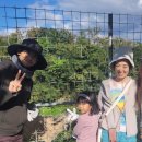 염소왕국 이미지