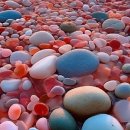 더행복약국 이미지