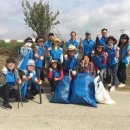 마장 매화둘레길 이미지