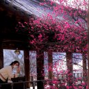 서원메디칼 이미지