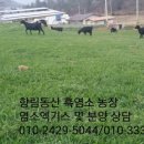 동산흑염소농장 네이버블로그