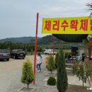 진도체리원 이미지