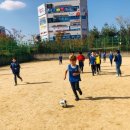 염작초등학교 이미지