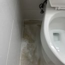 LH 아파트 1단지 앞 | 경기도 김포시 양곡LH1단지 아파트 원룸 입주청소 후기