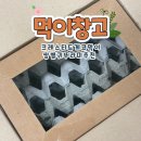 쌍별귀뚜라미 추천 먹이창고 뚜리로 크레 먹이 붙임 했어요
