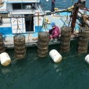 태화물산 이미지