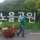 Friday Forest 이미지