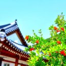 순천 연리지 한옥 이미지