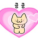 왕초보 일본어 이미지