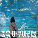 은빛나무어린이집 | 충북 아쿠아리움 :: 괴산 가볼만한곳 무료 놀거리 추천