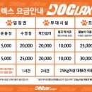 도그렉스 이미지