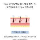 테드헤어 네이버블로그