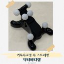 바디닥터 | 뻐근한 목 관리 거북목교정 닥터바디랩 사용 후기