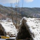 Healing Farm Stay 이미지