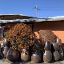 들풀담소보리밥정식 이미지