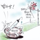 5월5일(수요일)간추린뉴스 이미지