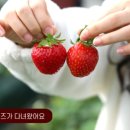 이은희 농장 이미지