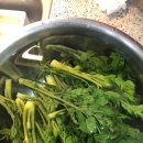 안녕하세요365 이미지