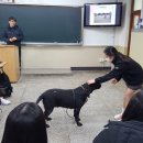 이일여자고등학교 이미지