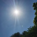 SK엔크린 수목원주유소 | [캠핑후기] 남양주 힐링별밤캠핑장