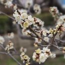 가야돈까스 이미지