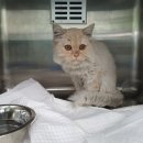 남춘천새길 이미지