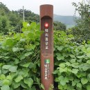 구례의길(남도이순신길) 이미지