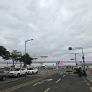 조은3호 | [민락동 맛집] 광안리 민락어민활어직판장 조은상회 제철 도다리 밀치 광어 솔직후기