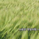 햇살기획