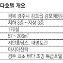 감포홀딩스